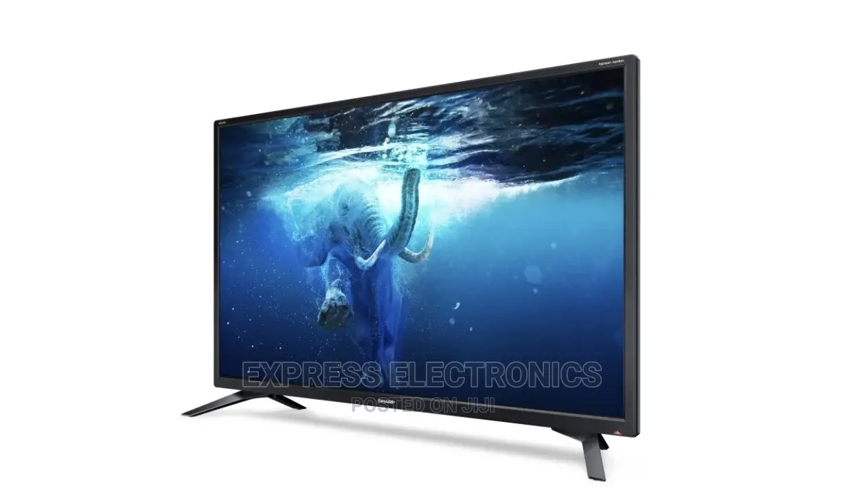 Get Promo on 33”Sharp Digital HD+ Free Wallmount