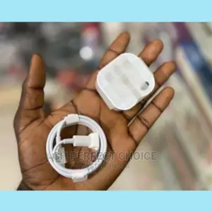 Quick Charge Type C iPhone Charger