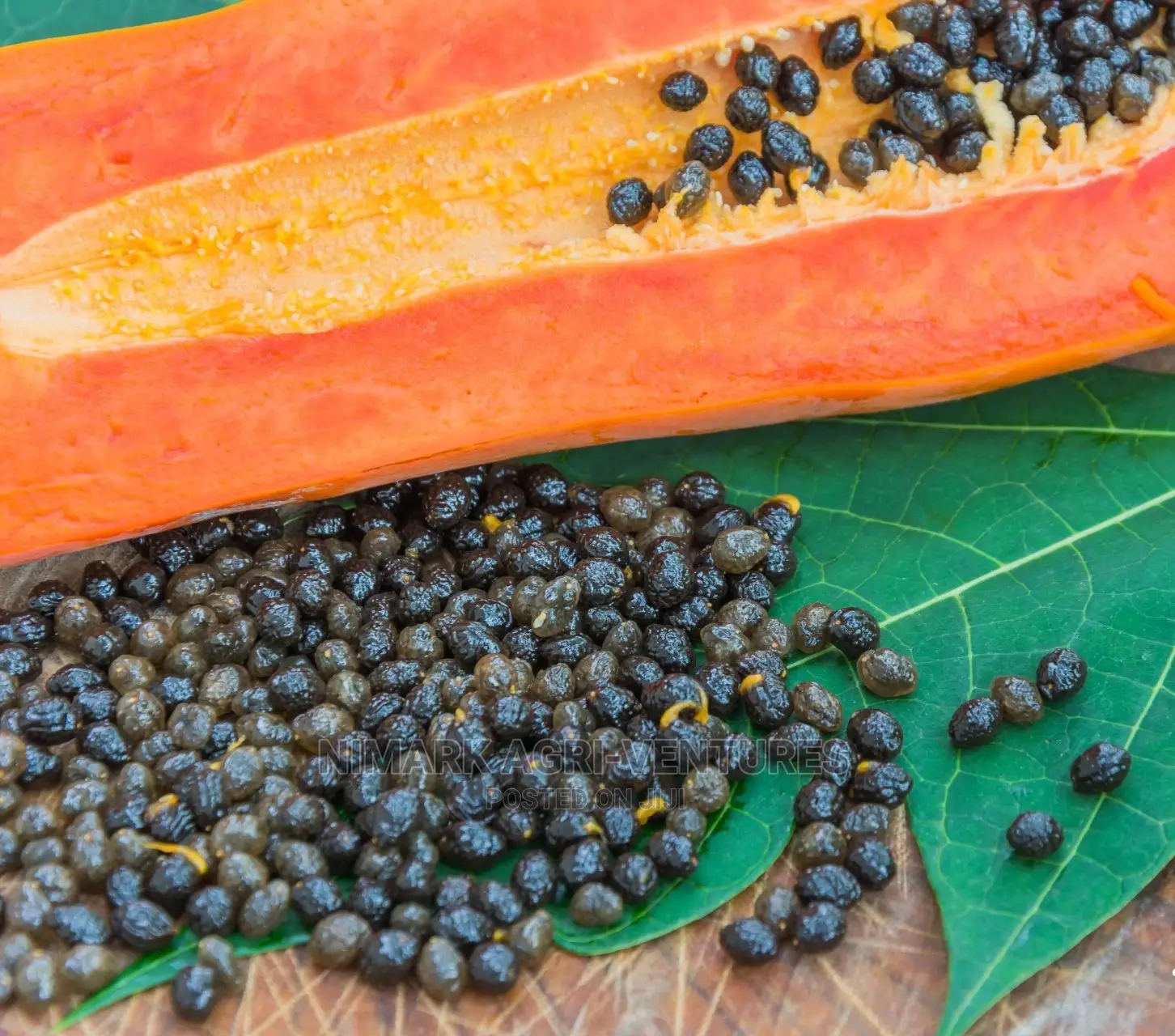 Pawpaw Seeds And Fruits - Dwarf