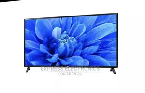 LG 43 Inches FHD Digital TV 43LP5000PTA+ Wallmount