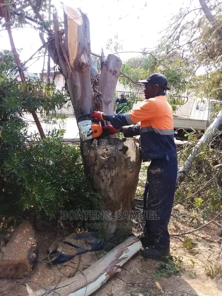 Tree Cutting Services -Chainsaw Operator.