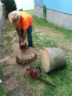 Tree Cutting Service in Accra