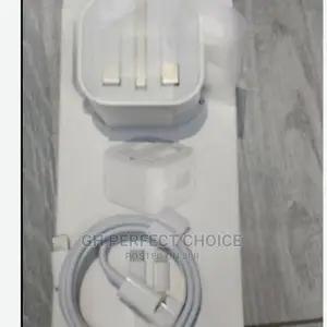 The Original 20W All iPhone Type C 3pin Fast Charger