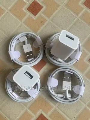 Original 5W iPhone Charger