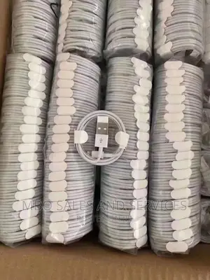 Original 5W iPhone Charger