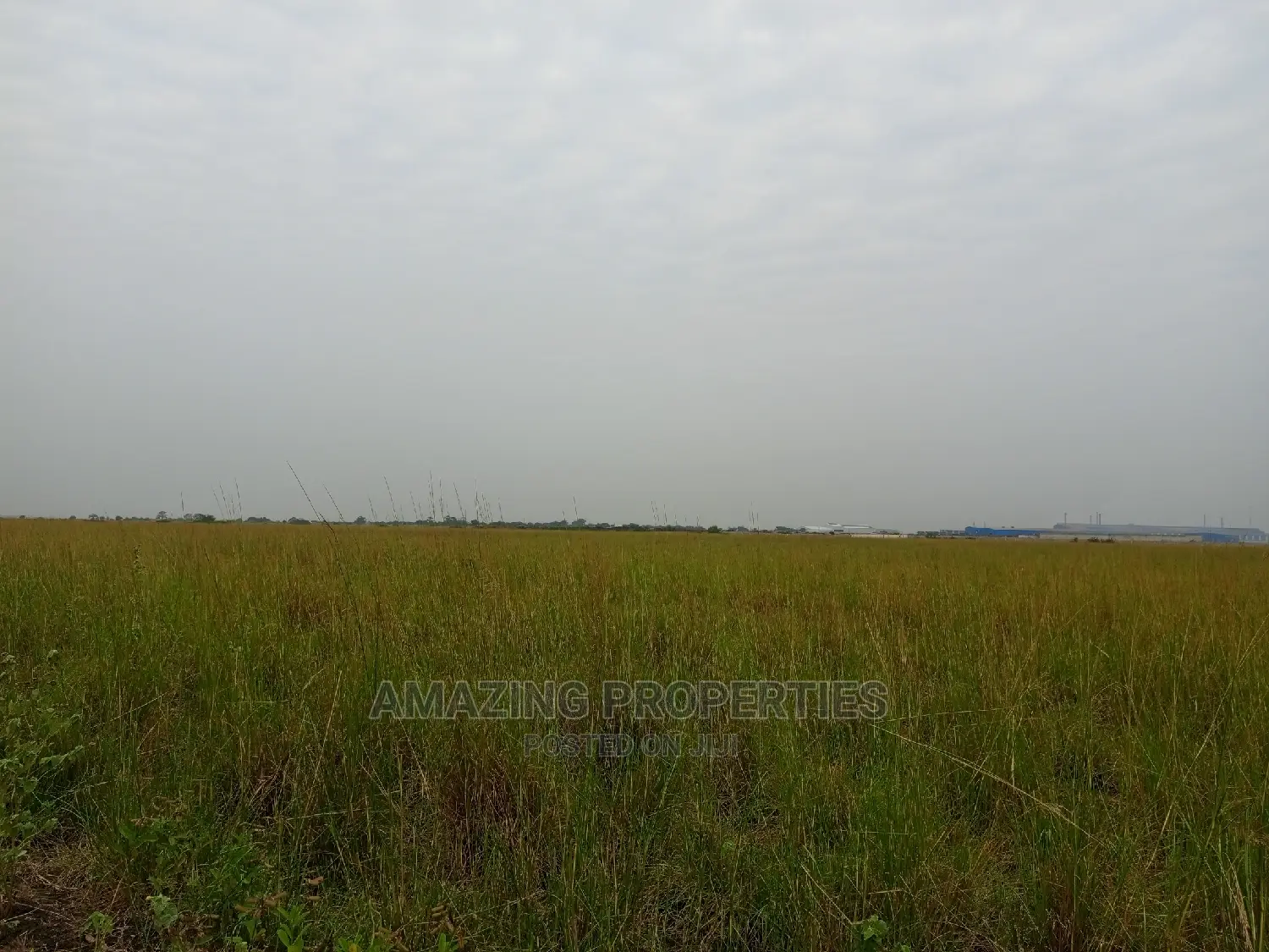 50 Acres of Land for Sale Central University Before B5