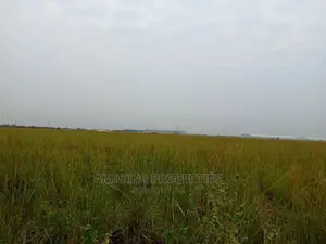 50 Acres of Land for Sale Central University Before B5
