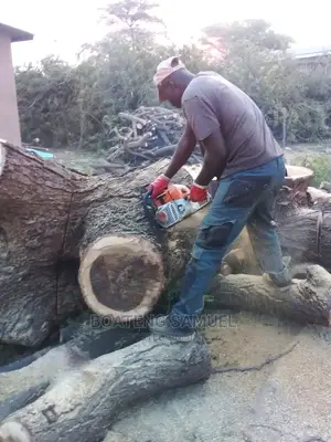 Tree Cutting Service