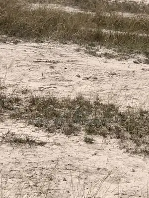 Plots of Land Available for Sale
