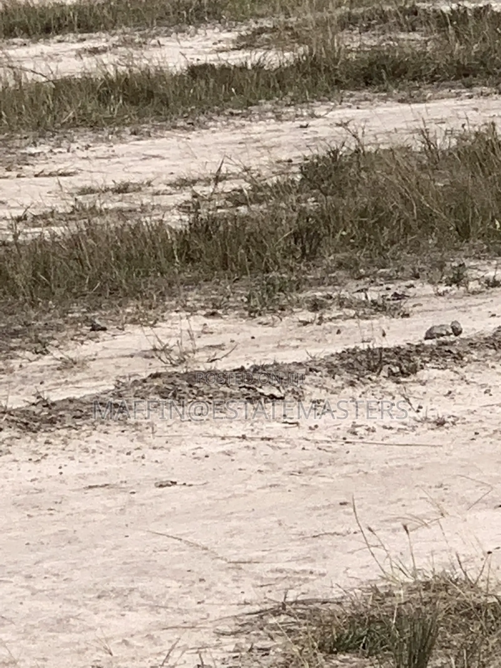 Own Litigation Free Land at Tsopoli