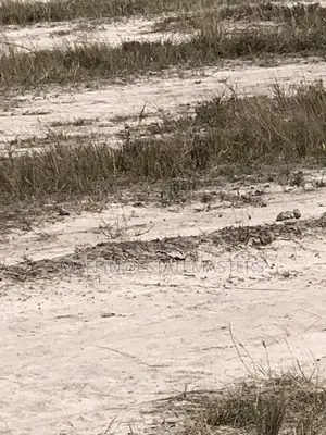 Own Litigation Free Land at Tsopoli