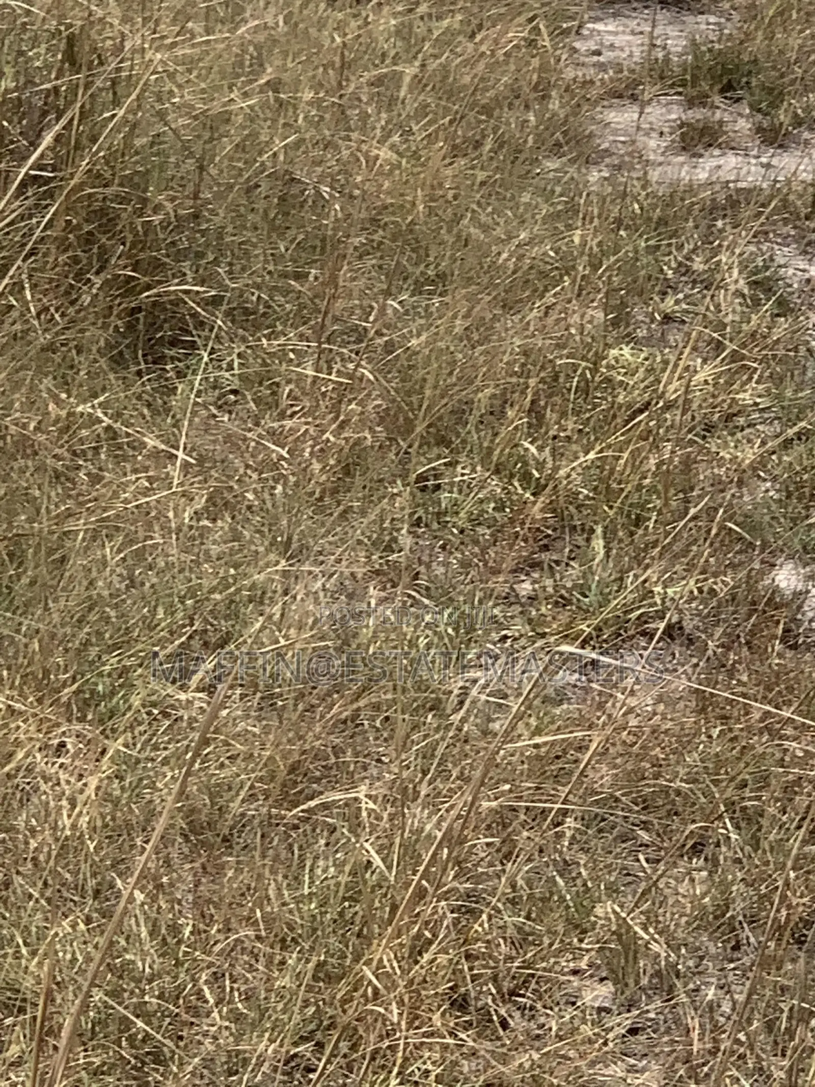 Reliable Estate Plot of Land for Sale at Tsopoli