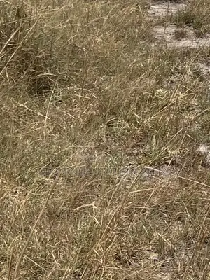 Reliable Estate Plot of Land for Sale at Tsopoli