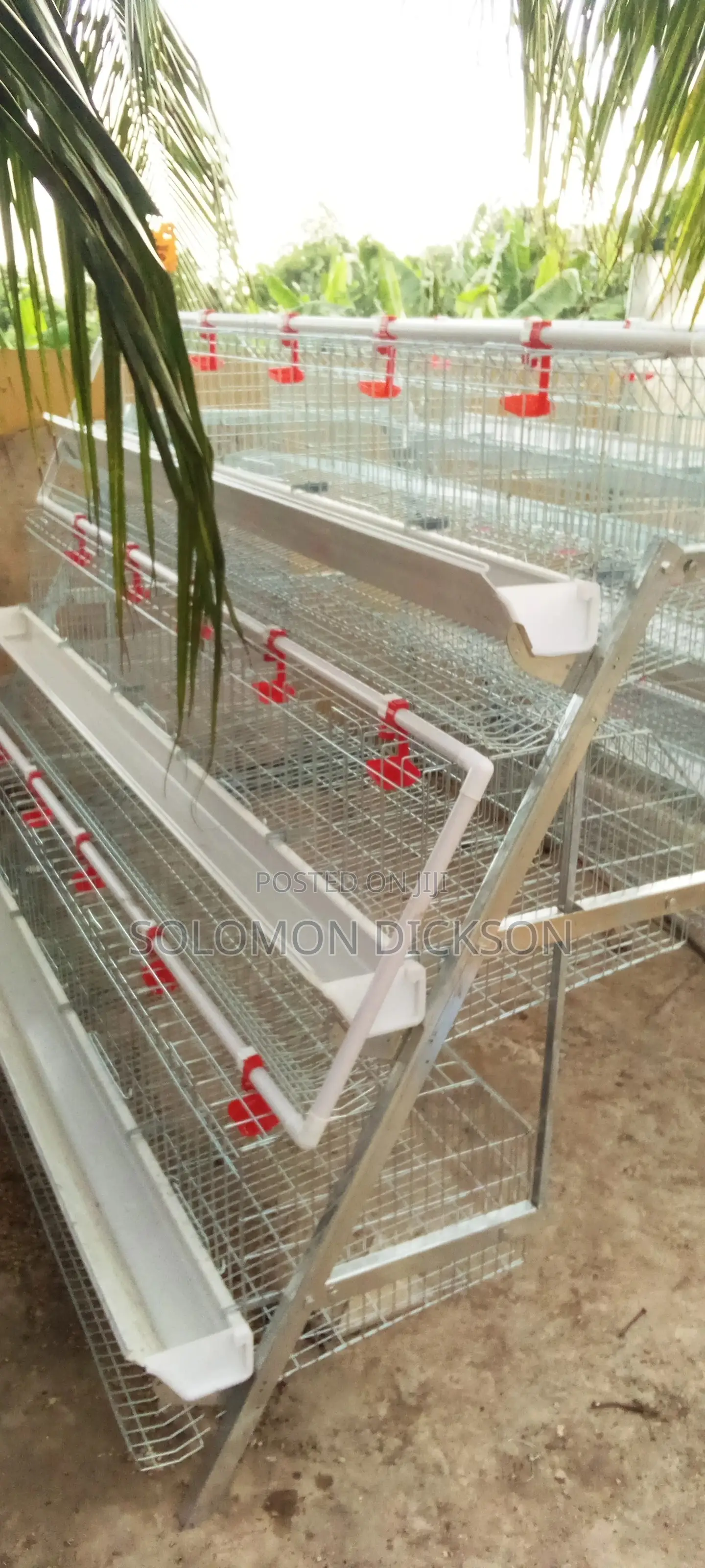 Battery Cage for Layers