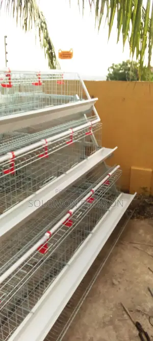 Battery Cage for Layers