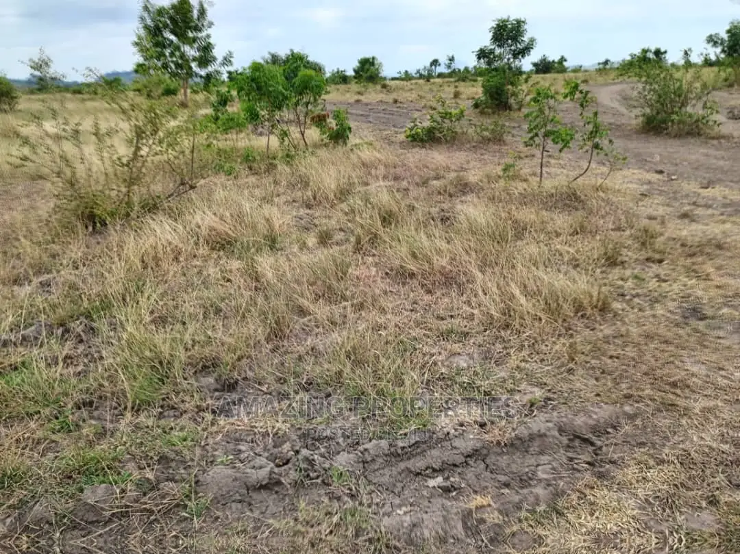 10 Acres of Land at Dawenya