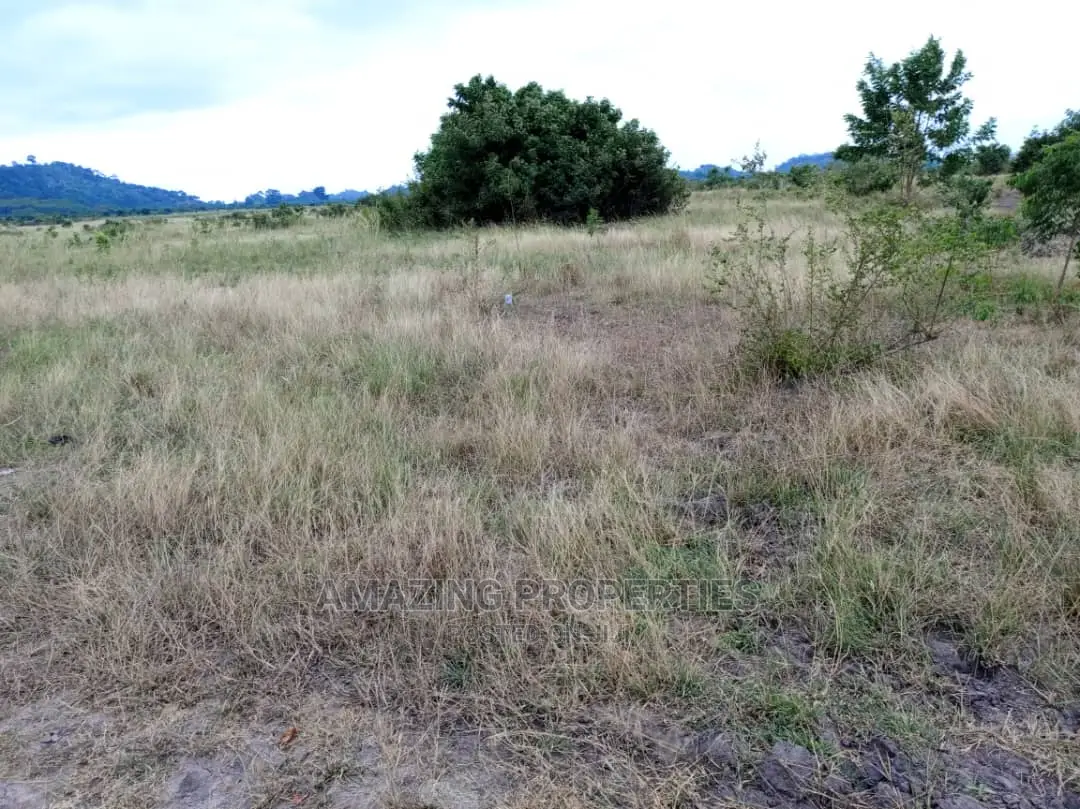 10 Acres of Land at Dawenya