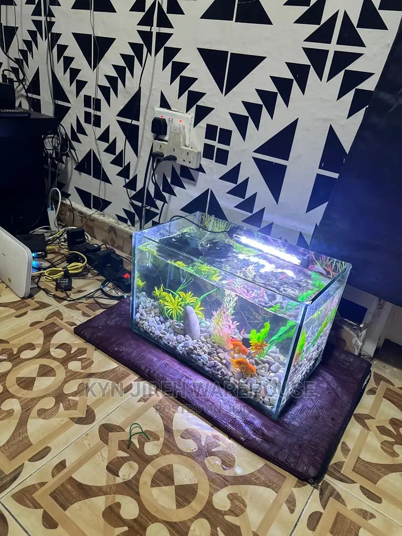 Tabletop Aquarium With 5 Fishes