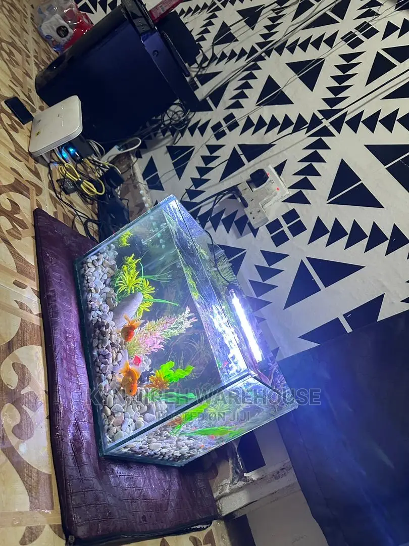 Tabletop Aquarium With 5 Fishes