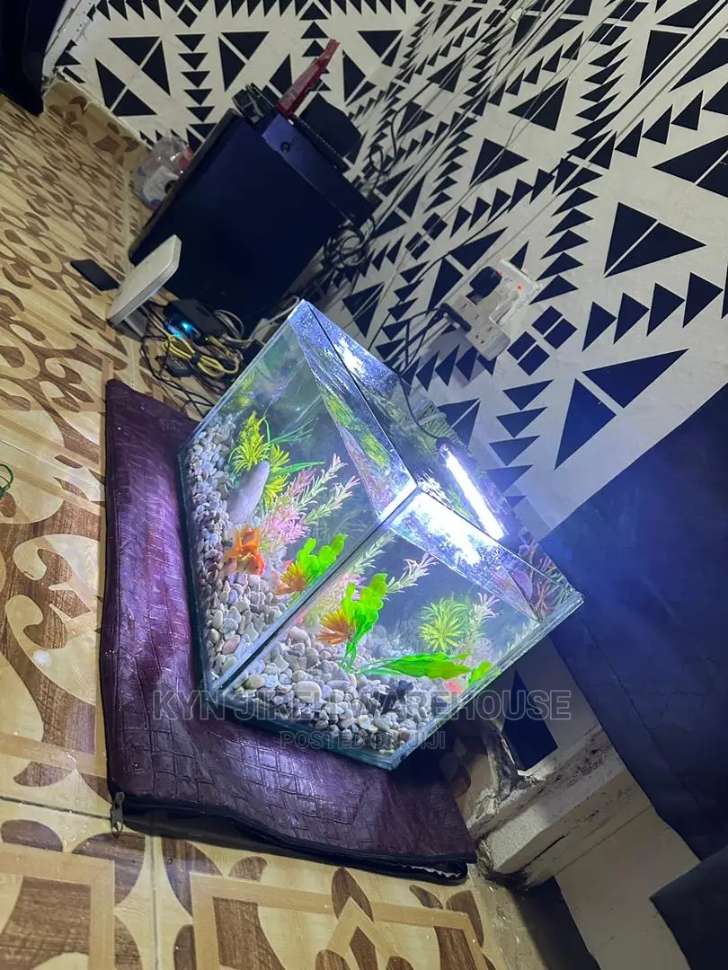 Tabletop Aquarium With 5 Fishes