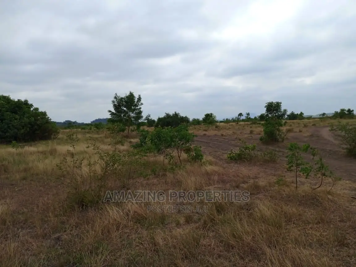 1.59 Acres of Land at Ayi Mensah