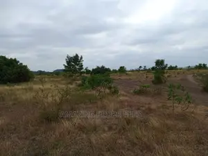 1.59 Acres of Land at Ayi Mensah