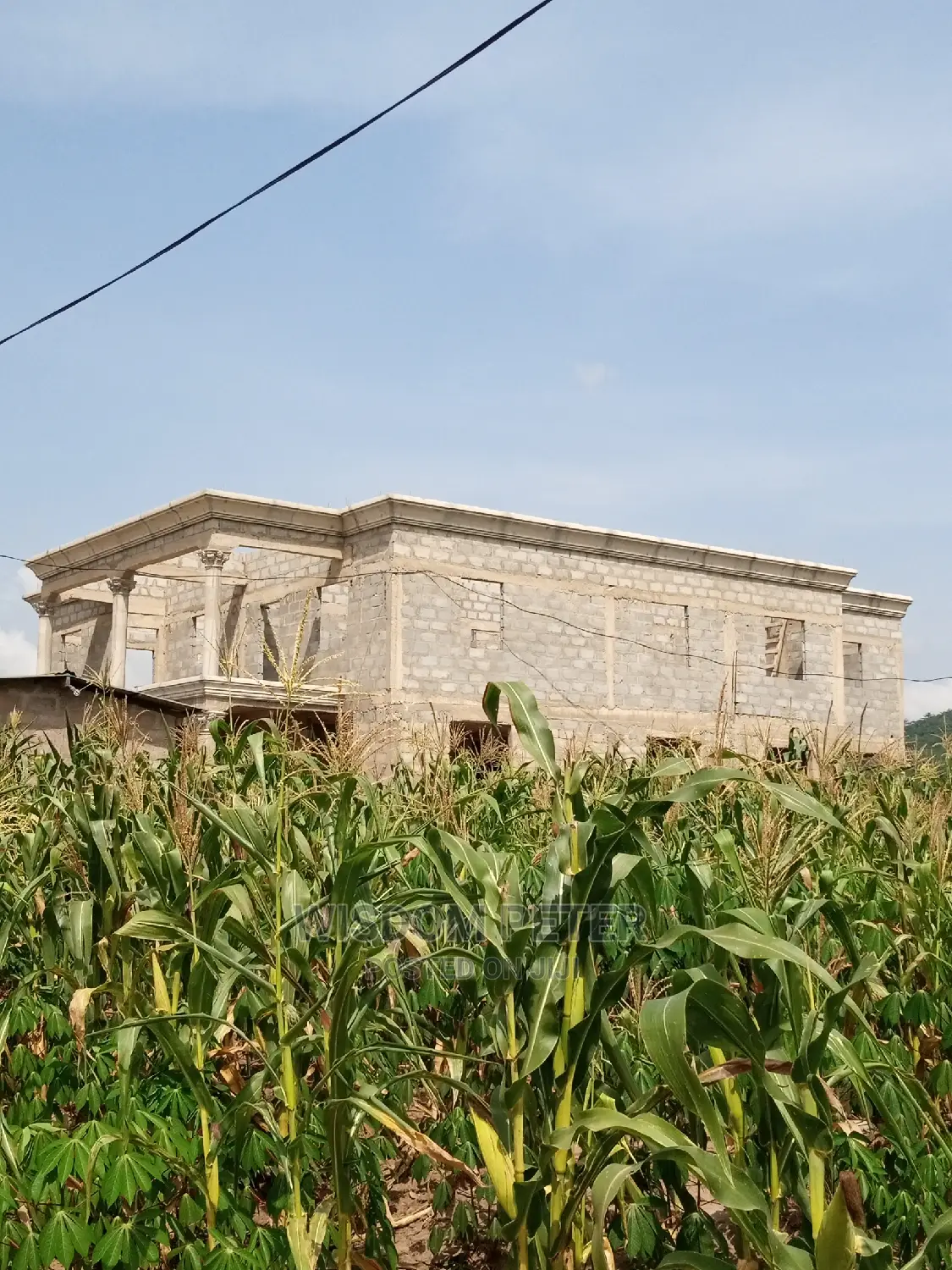 Parapet Dinsing