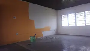 Painter. Sprayer. Skimming (Andrea).