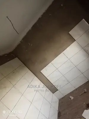 Expert Tilling Work