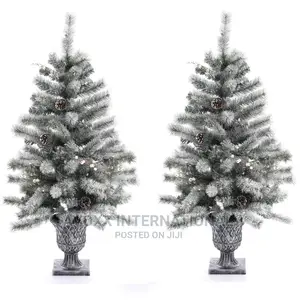 2 Pack 3’ Lighted Flocked Virginia Pine Trees