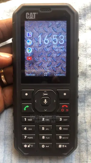 Cat B35 4 GB Black