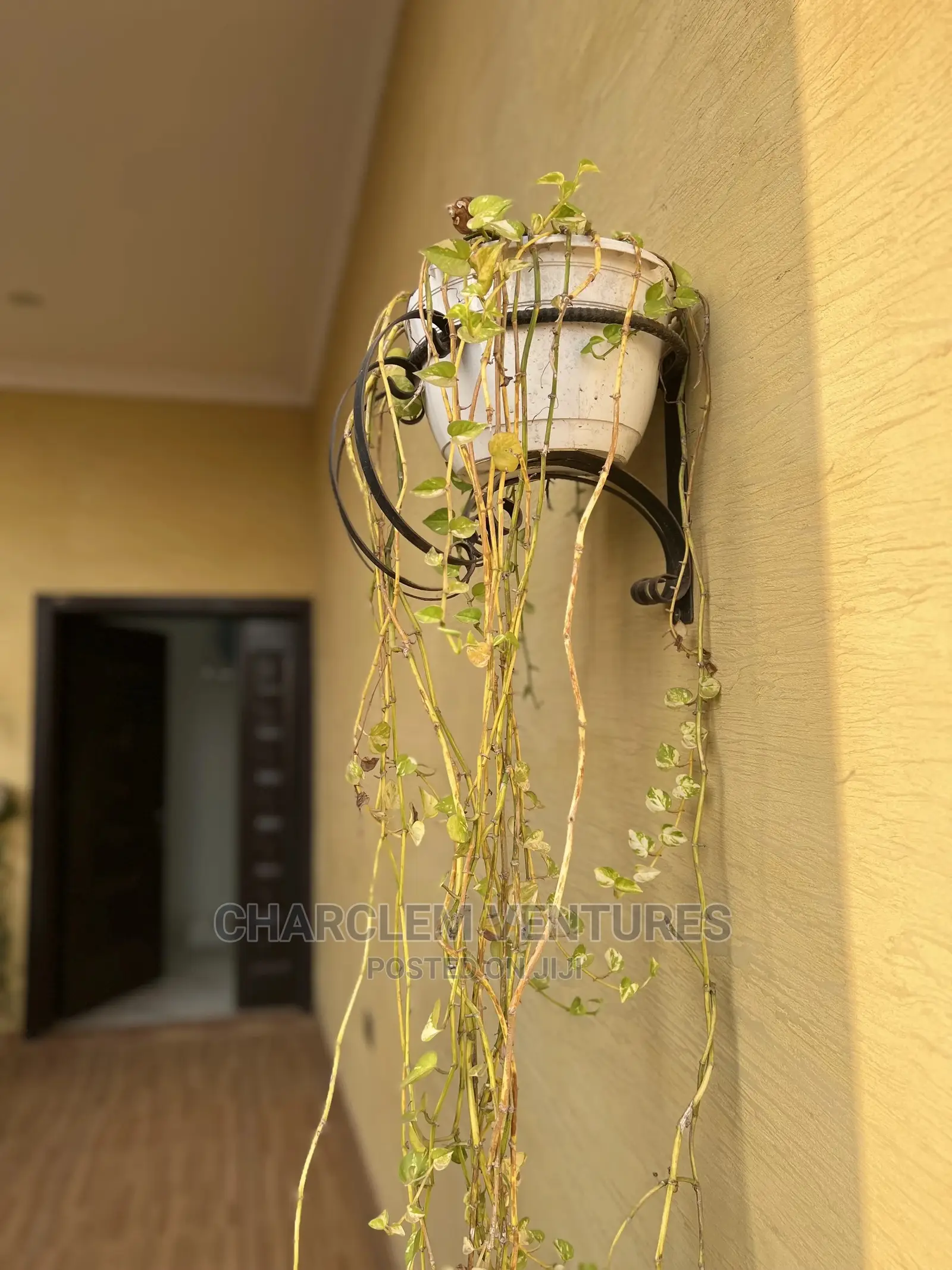 Furnished 5bdrm House in Charclem Ventures, East Legon for Sale