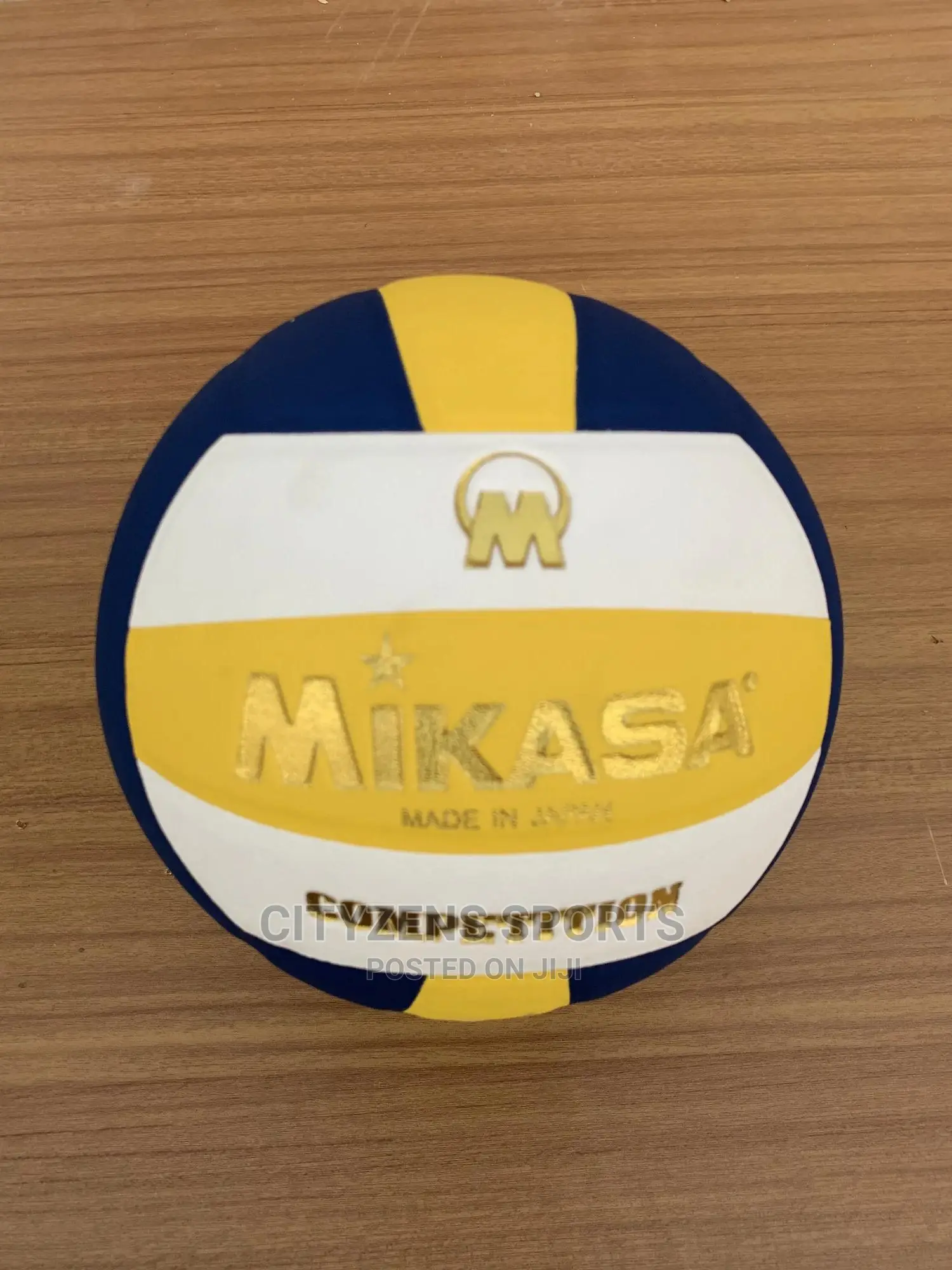 Mikasa Volleyball