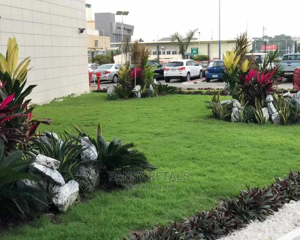 Landscape Design