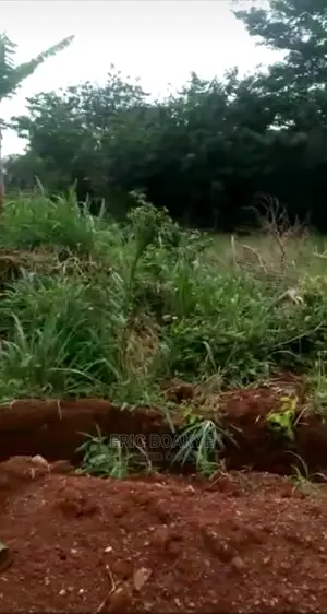 Litigation Free Lands/Plots For Sale At Kumasi Adankwame