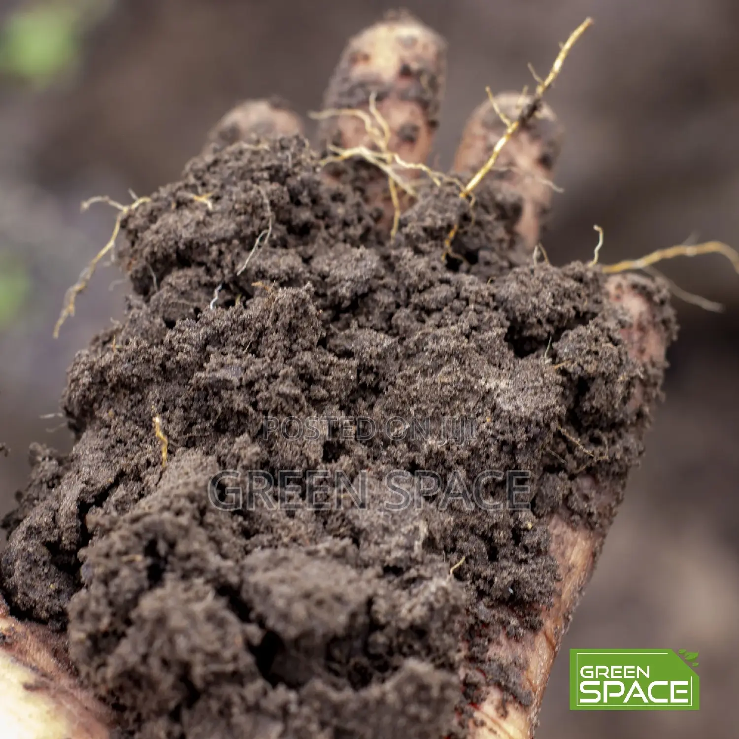 Loamy Soil