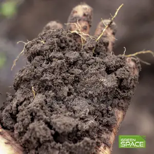 Loamy Soil