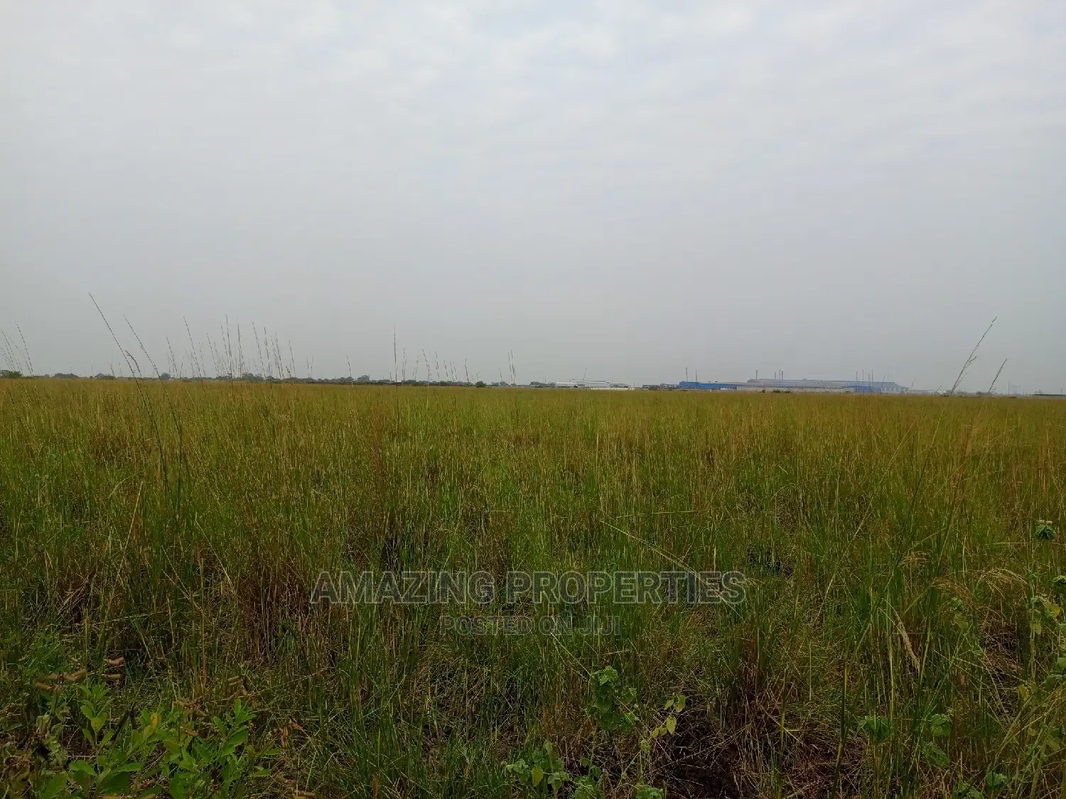 For Sale 3.5 Acres of Industrial Land Klagon Tema Motorway*.
