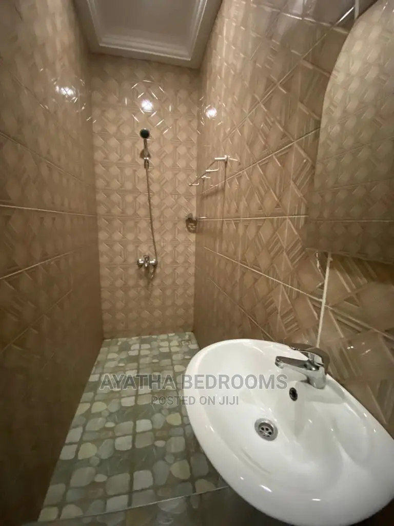 2bdrm Apartment in Ayathar Bedroom, Tseaddo for Rent