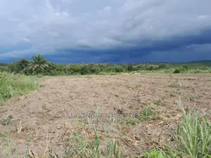 20,000+ Acres Farm /Agricultural Land Adaklu, Volta Region