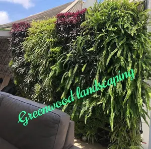 Vertical/Green Wall