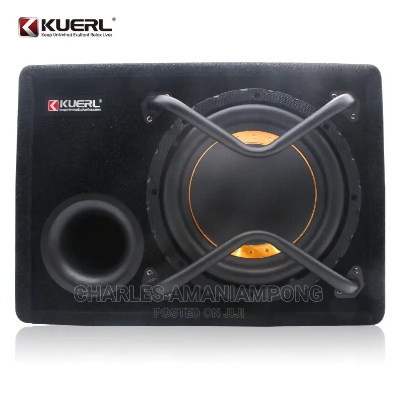 Car Sub-Woofer (10 Inches)