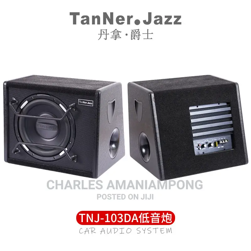Car Sub-Woofer (10 Inches)