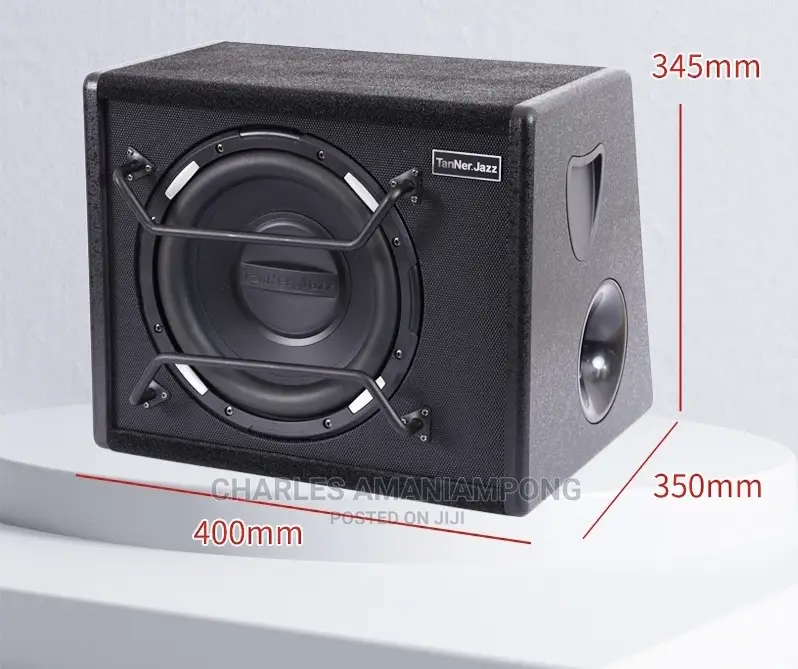 Car Sub-Woofer (10 Inches)