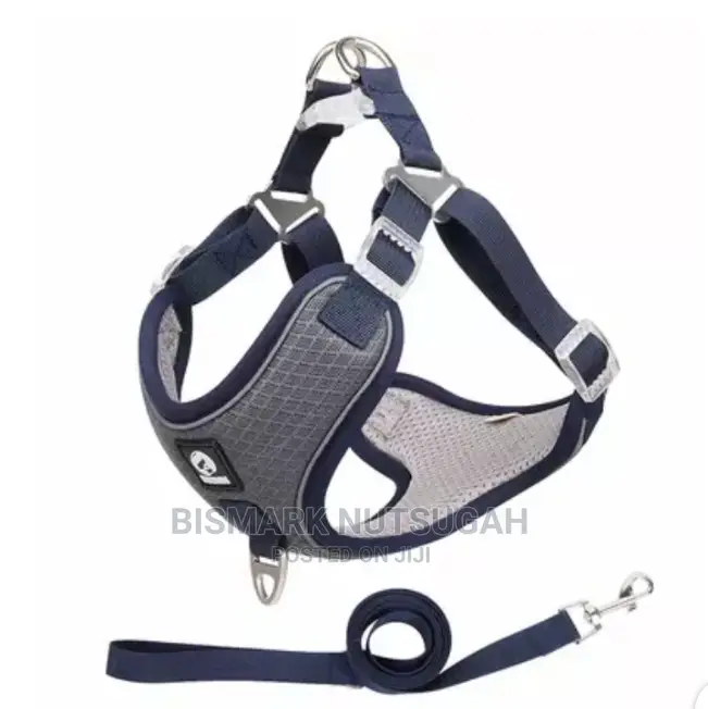 Dog Chain for Sale