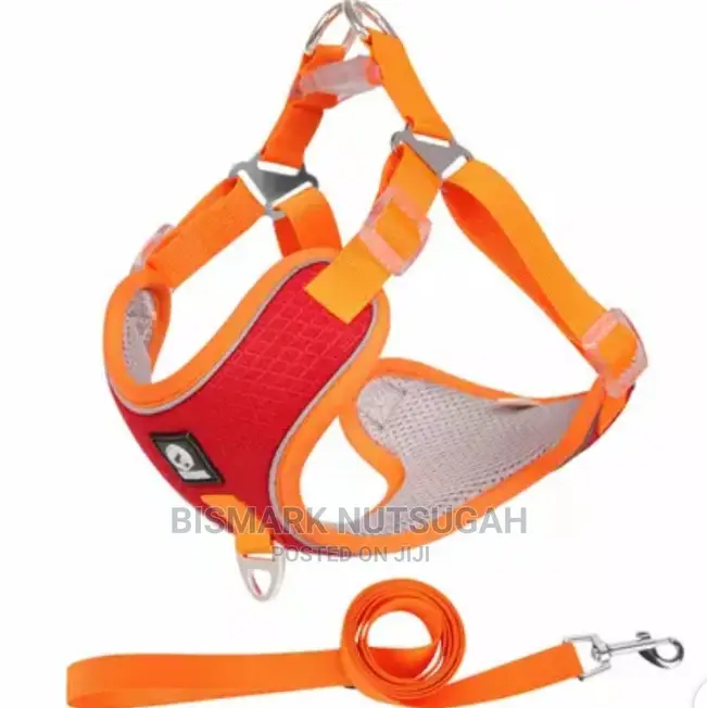 Dog Chain for Sale