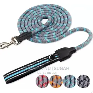 Dogs Chain for Sale