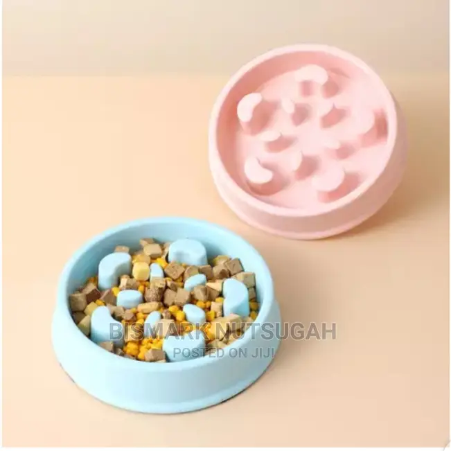 Dog Bowl for Sale