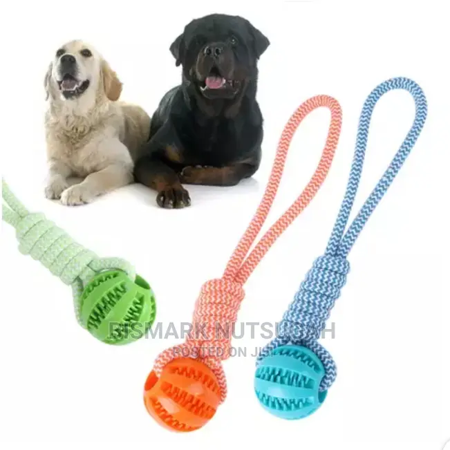 Dog Toy for Sale