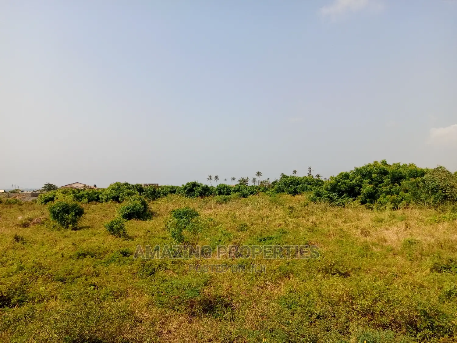 40 Acre Land for Sale at Aburi in Spintex Land & Plots for Sale